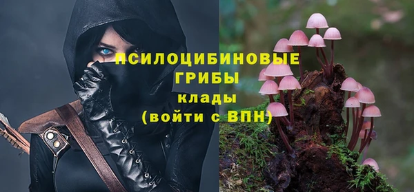 гидропоника Липки