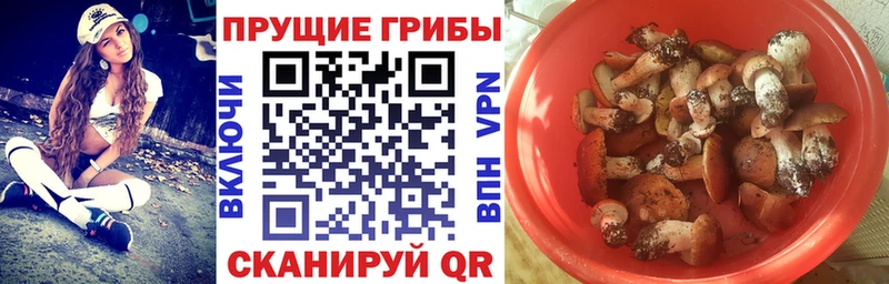 Купить где  Дмитров  Галлюциногенные грибы ЛСД 
